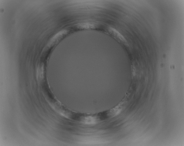 X0000076250163200610122214