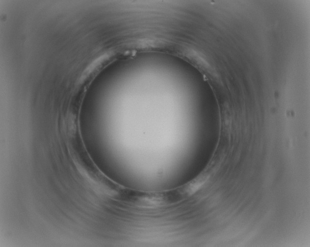 X0000076250164200610122214