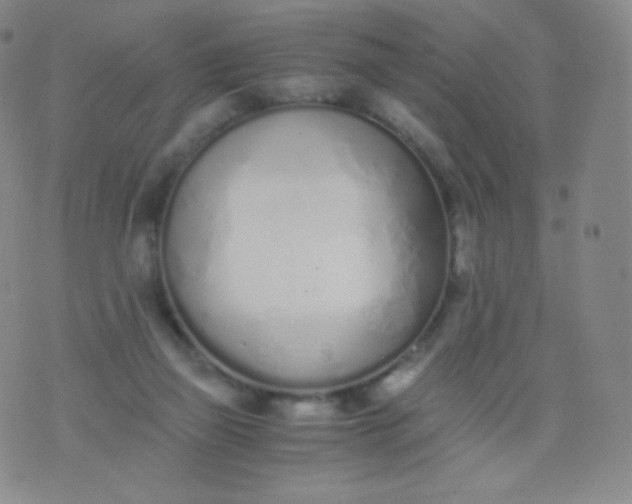 X0000076250165200610122214