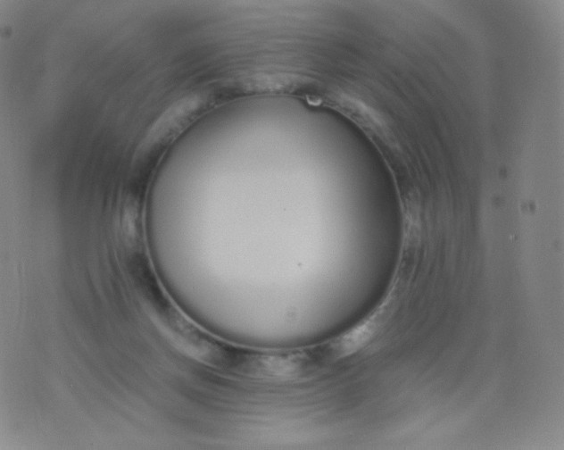 X0000076250166200610122214