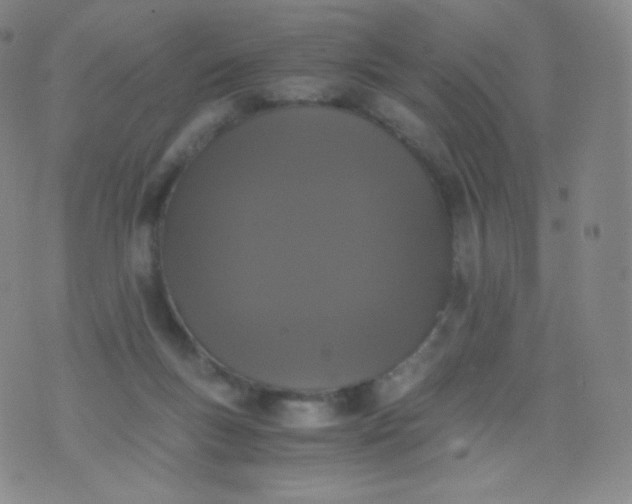 X0000076250167200610122214