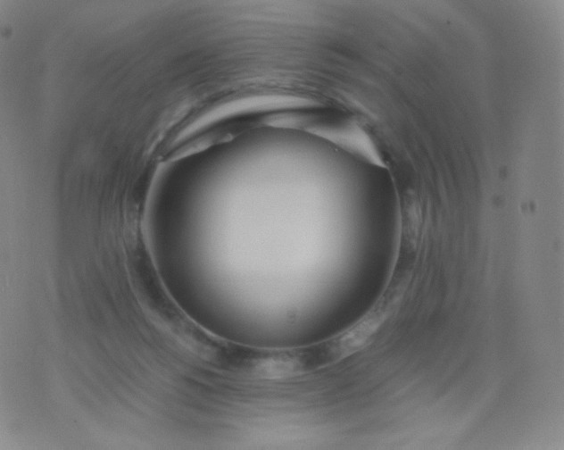 X0000076250168200610122214