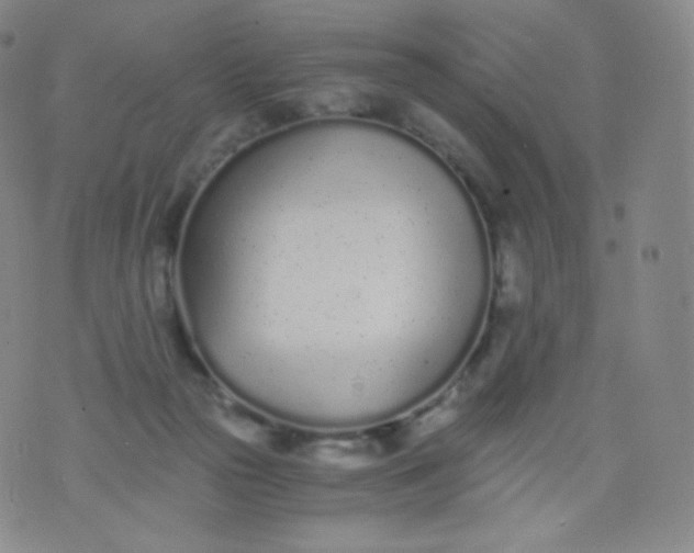 X0000076250169200610122214