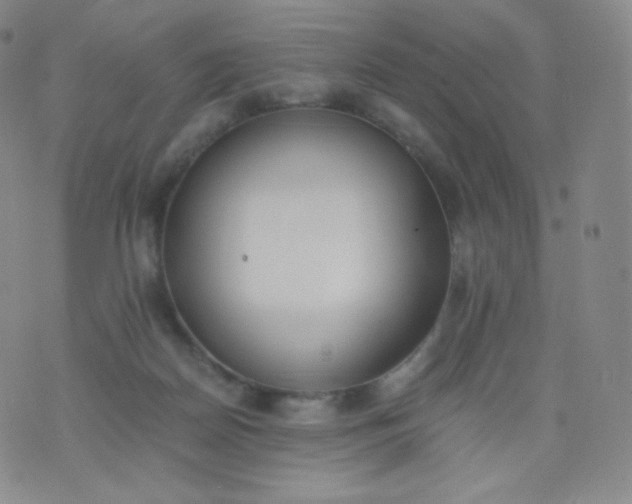 X0000076250170200610122214