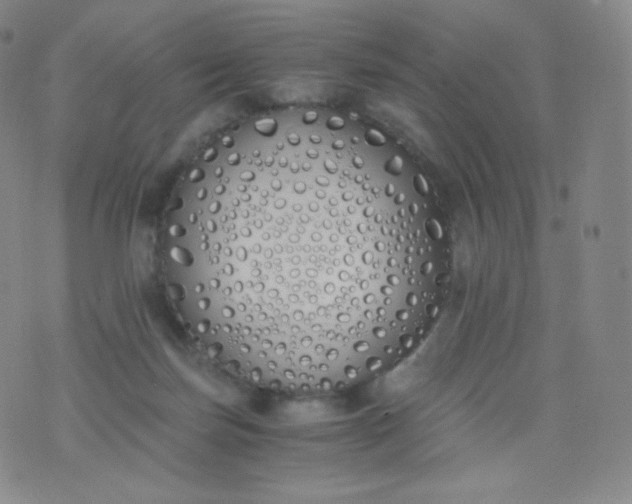 X0000076250171200610122214