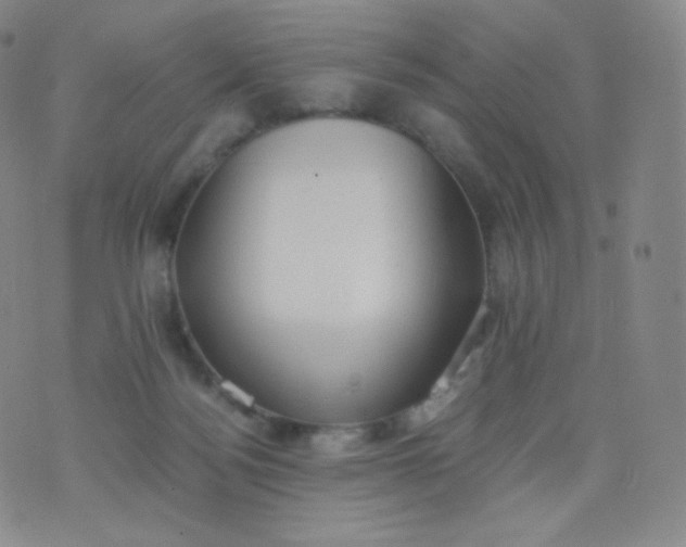 X0000076250172200610122214