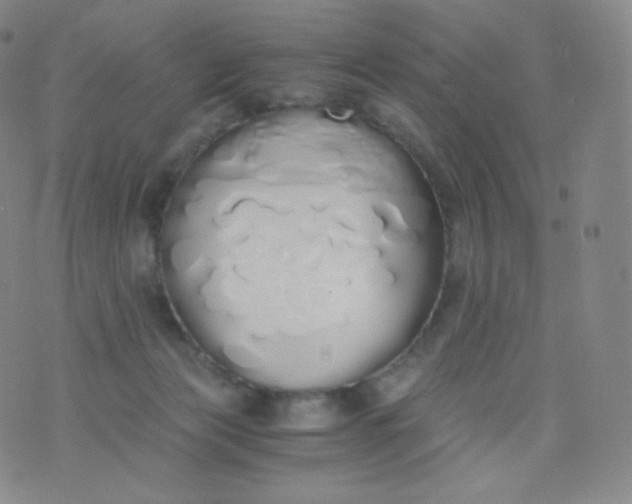 X0000076250173200610122214