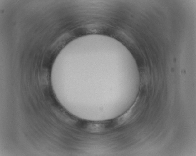 X0000076250174200610122214