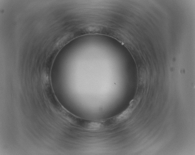 X0000076250176200610122214