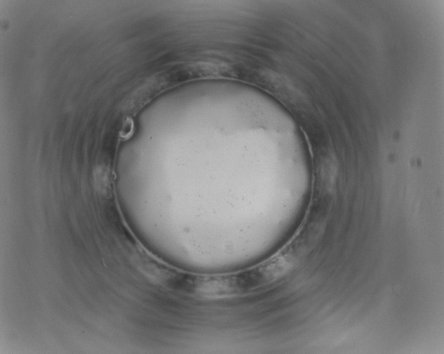 X0000076250177200610122214