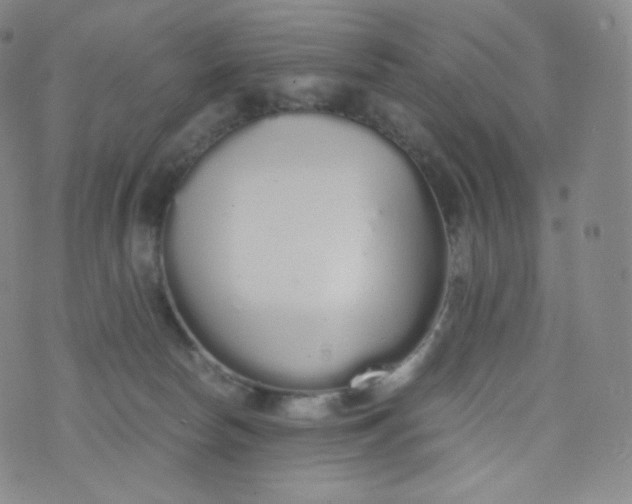 X0000076250178200610122214