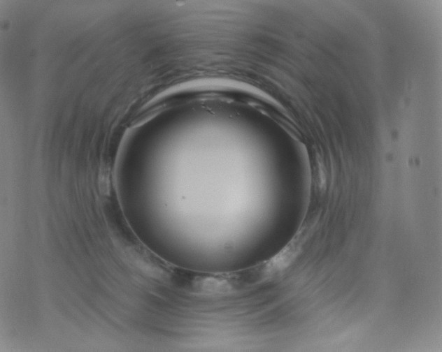 X0000076250180200610122214