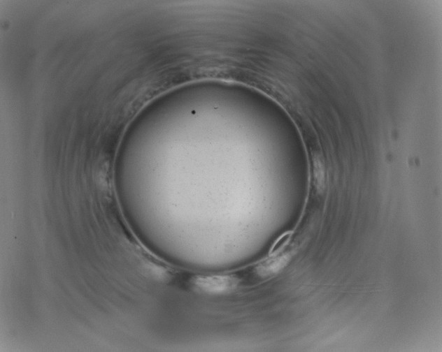 X0000076250181200610122214