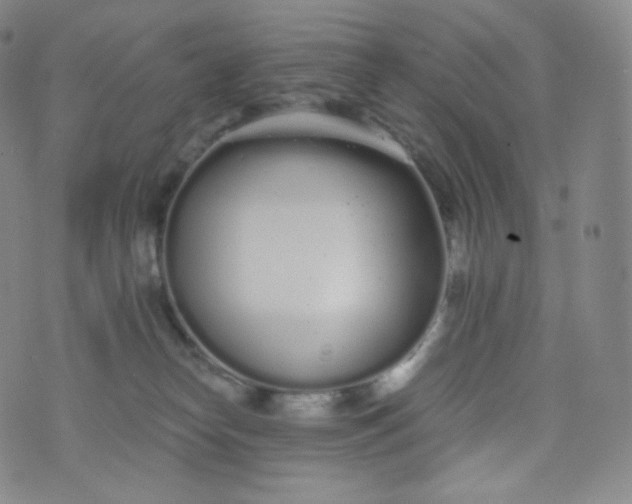 X0000076250182200610122214