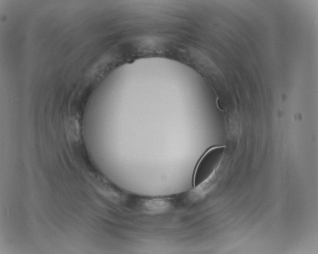 X0000076250183200610122214