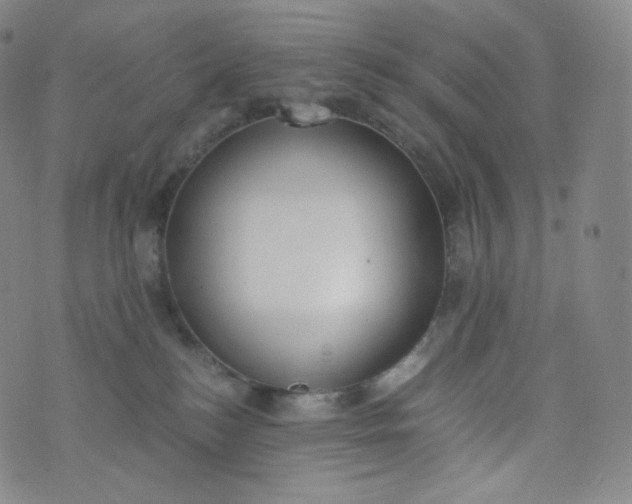 X0000076250184200610122214