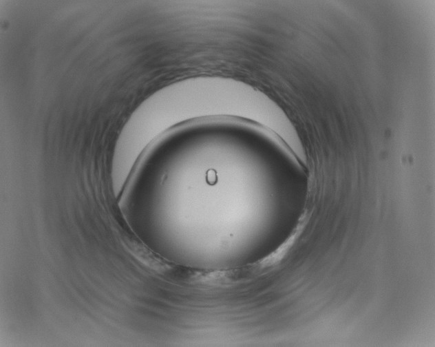 X0000076250186200610122214