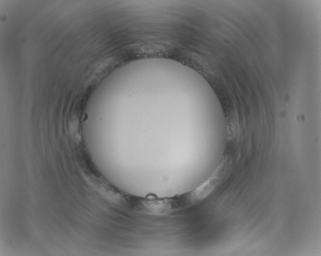 X0000076250187200610122214