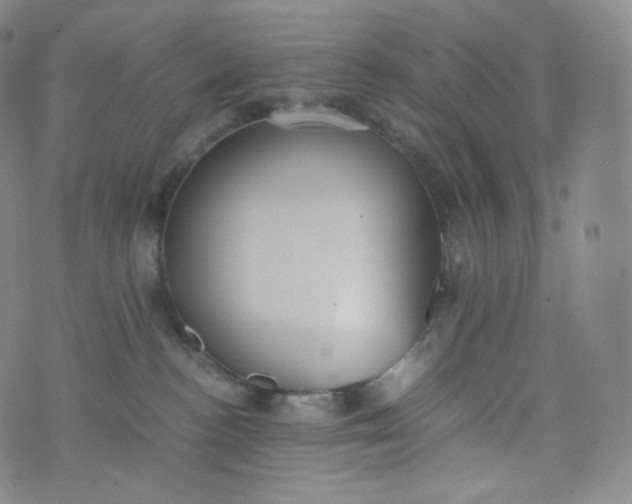 X0000076250188200610122214