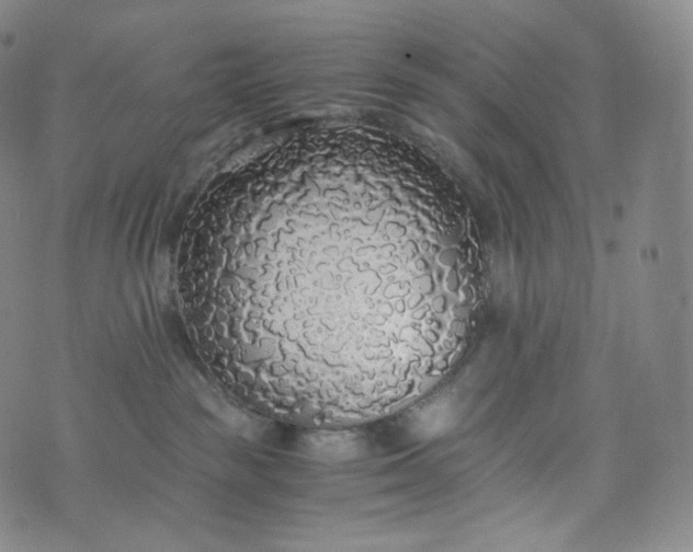 X0000076250189200610122214