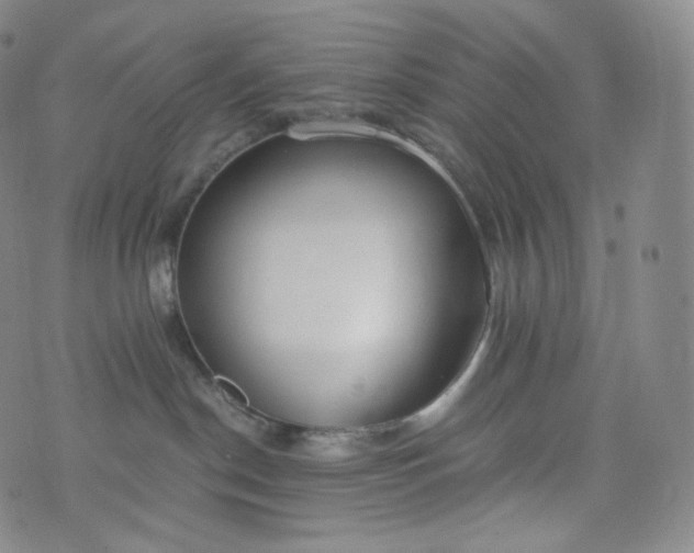 X0000076250190200610122214