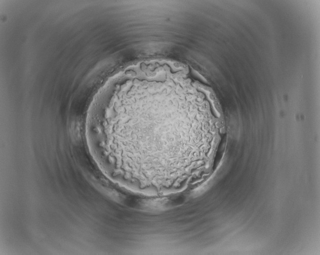 X0000076250191200610122214