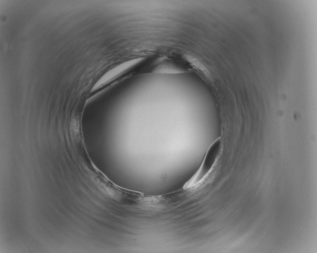 X0000076250192200610122214