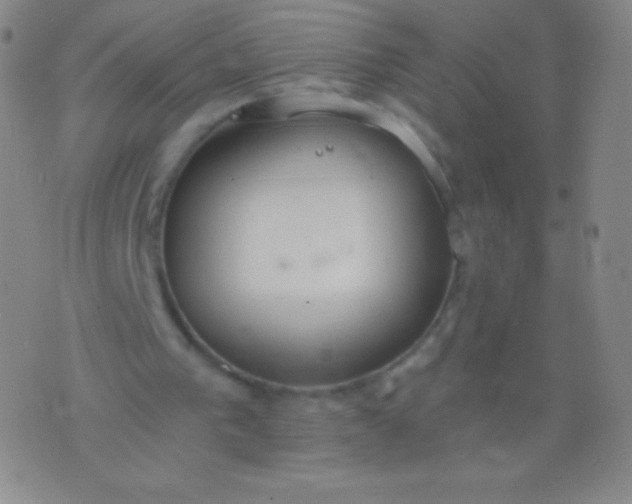 X0000076250193200610122214