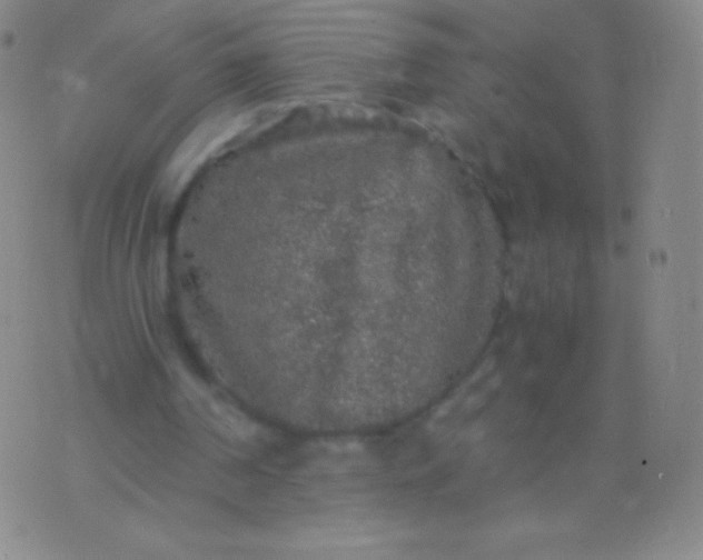 X0000076250194200610122214