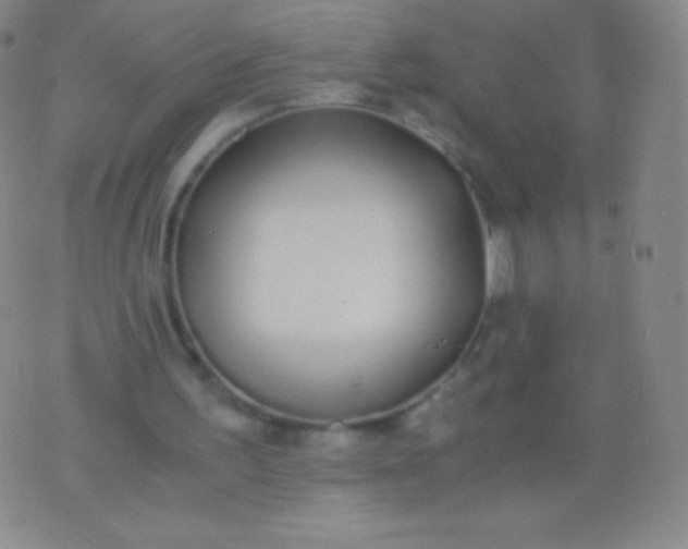 X0000076250195200610122214