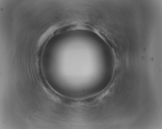 X0000076250197200610122214