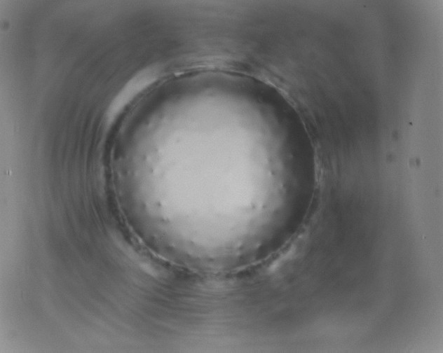 X0000076250198200610122214