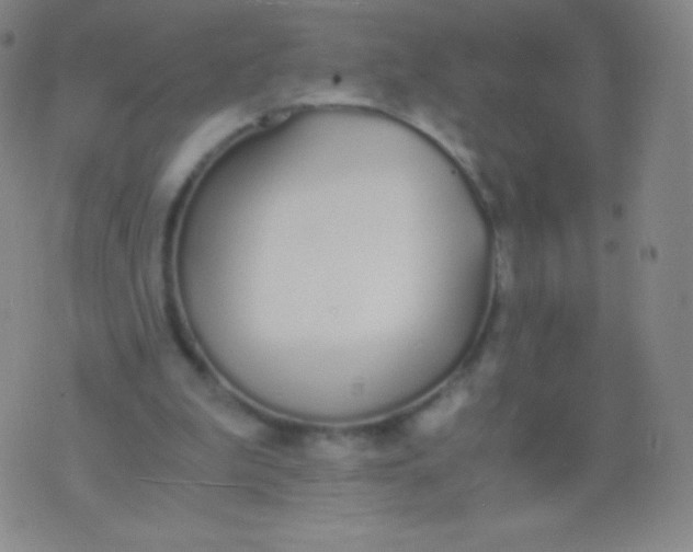 X0000076250199200610122213