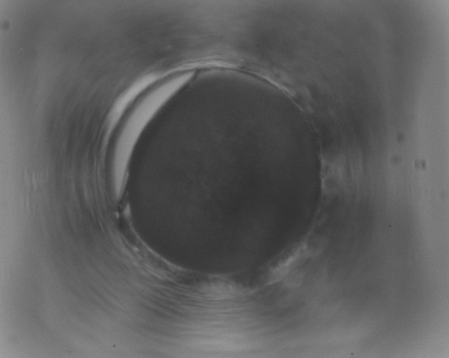 X0000076250200200610122213