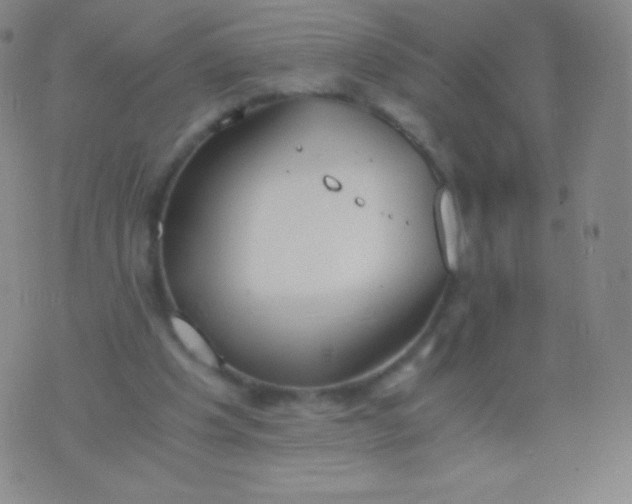 X0000076250201200610122213