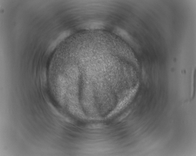 X0000076250202200610122213