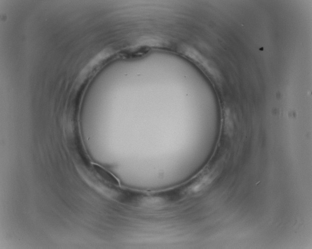 X0000076250203200610122213