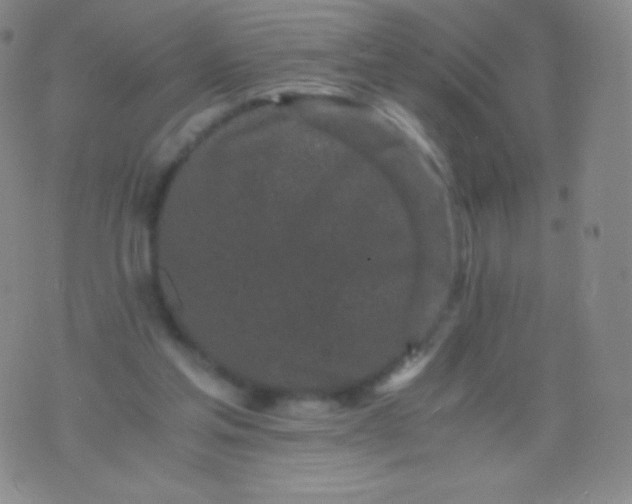 X0000076250205200610122213