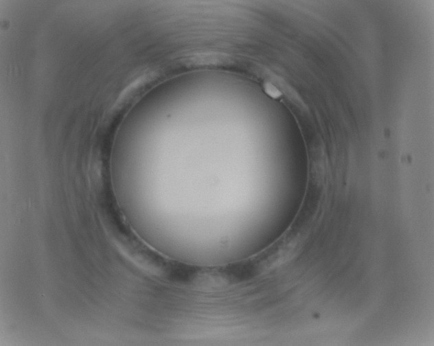 X0000076250207200610122213