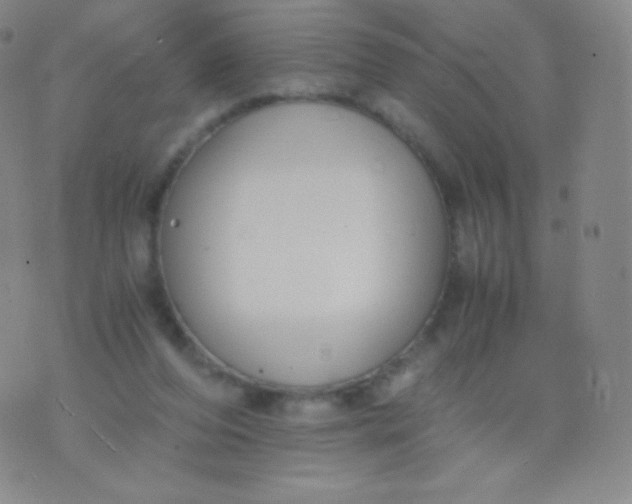 X0000076250208200610122213