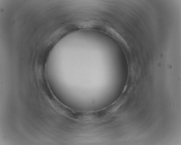 X0000076250209200610122213