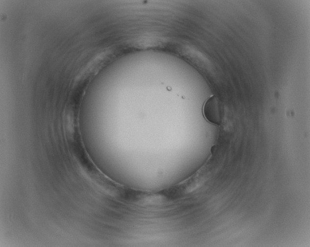 X0000076250210200610122213