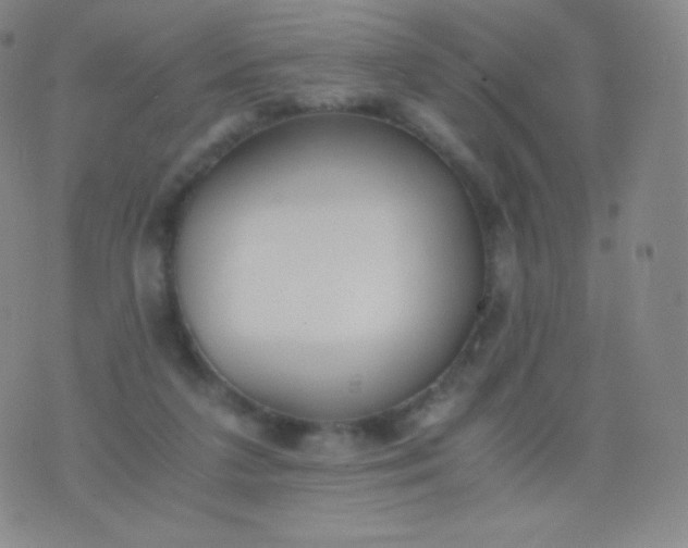 X0000076250211200610122213