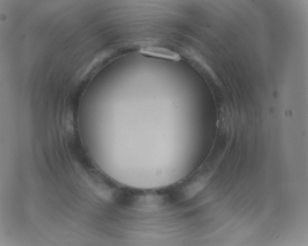 X0000076250212200610122213