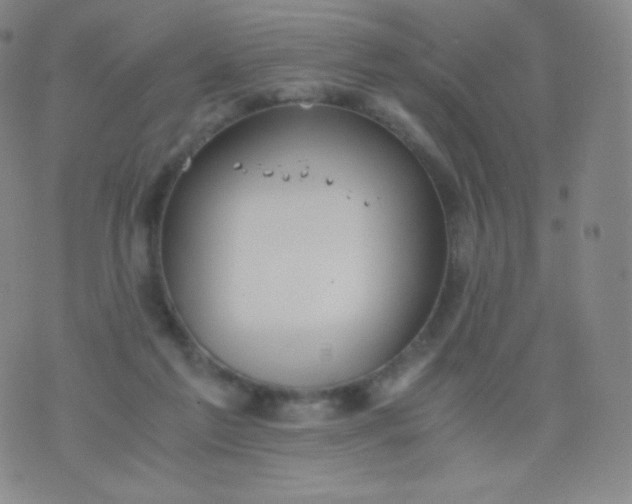 X0000076250213200610122213