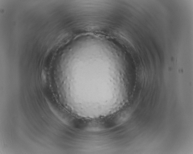 X0000076250214200610122213