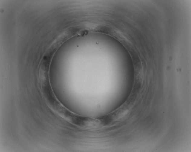 X0000076250215200610122213