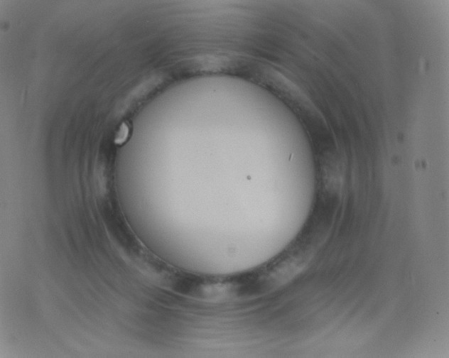 X0000076250216200610122213