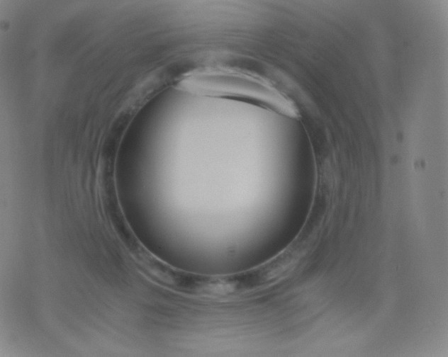 X0000076250217200610122213