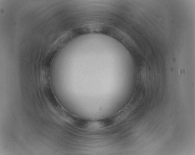 X0000076250218200610122213